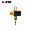 秤|泰得力秤_CW型电子吊秤CW20