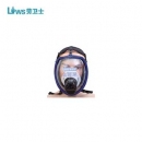 LWS呼吸器|劳卫士呼吸器_KH-LWS-004 空气呼吸器面罩