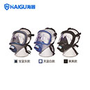 全面罩|海固全面罩_海固HG-911全面罩防毒套系
